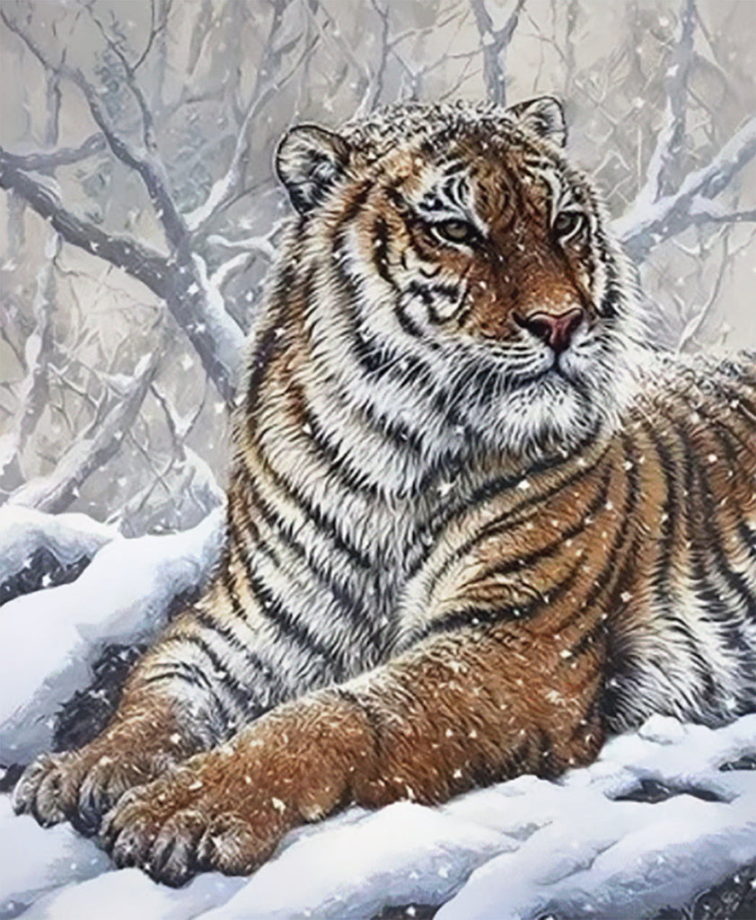 Tigre dans la Neige Peinture par Numéros