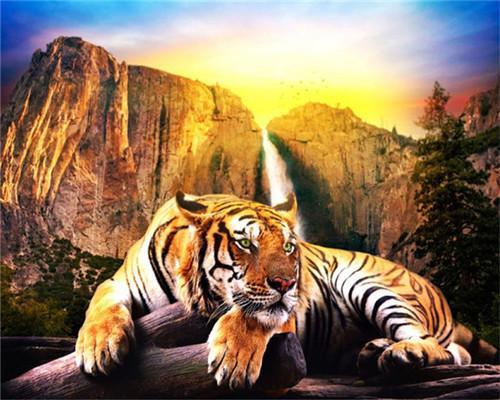 Tigre et Montagne Peinture par Numéros