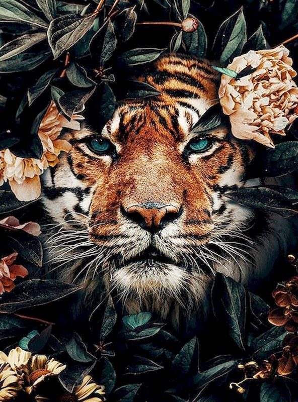 Tigre et Pivoines Roses Claires Peinture par Numéros