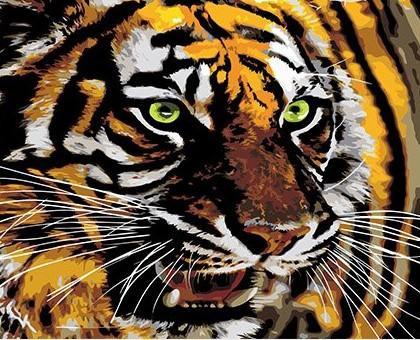 Tigre Rugissant Peinture par Numéros