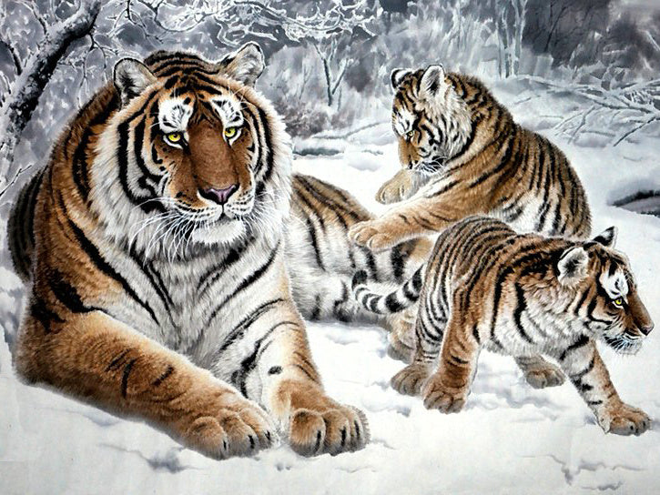 Tigres en Hiver Peinture par Numéros