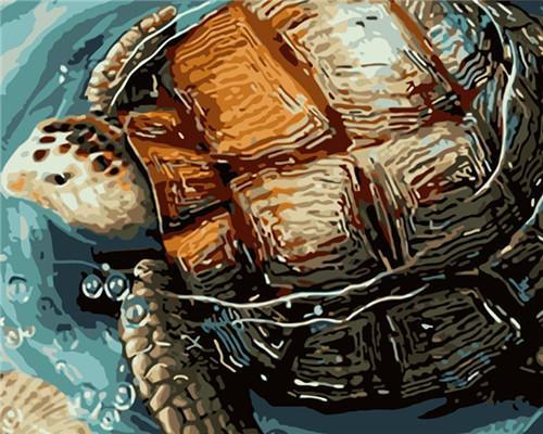 Tortue à la Surface de l'Eau Peinture par Numéros