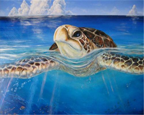 Tortue Digne Peinture par Numéros