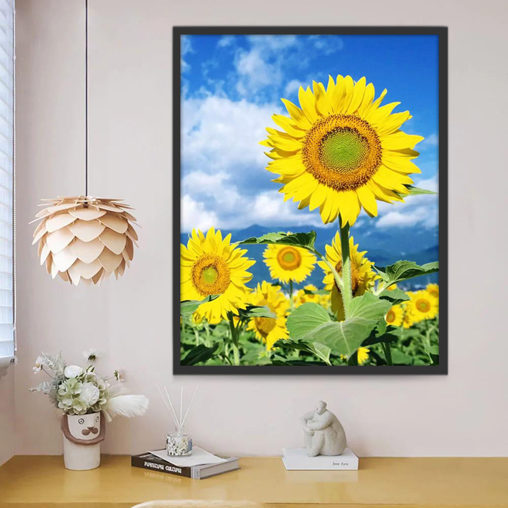 Tournesol et le Ciel Peinture par Numéros