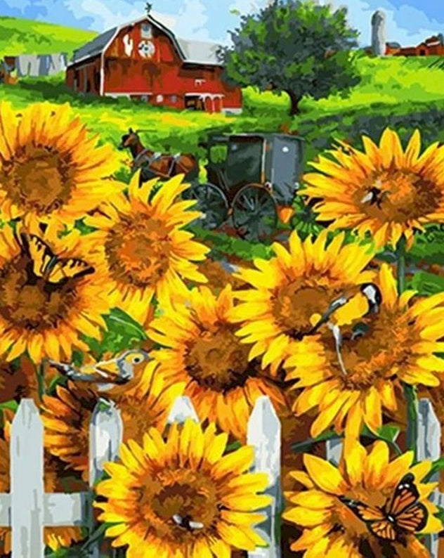 Tournesols de la Ferme Peinture par Numéros