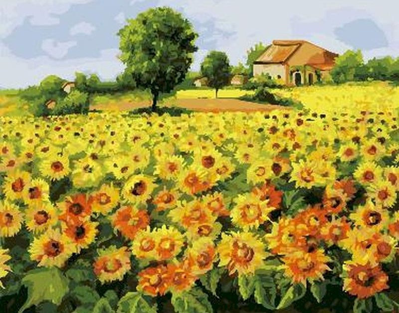 Tournesols et Maison Peinture par Numéros