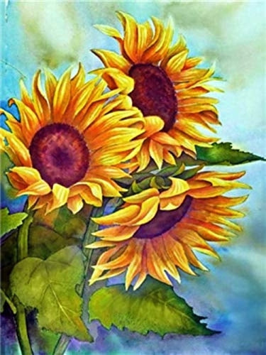 Tournesols Peinture par Numéros