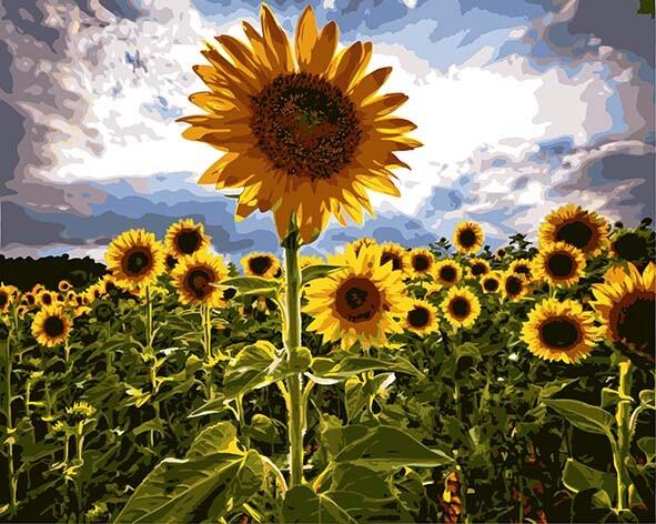 Tournesols Rustiques Peinture par Numéros