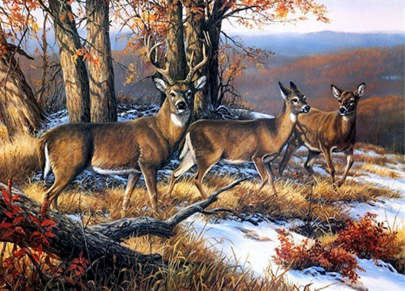 Trois Cerfs en Hiver Peinture par Numéros
