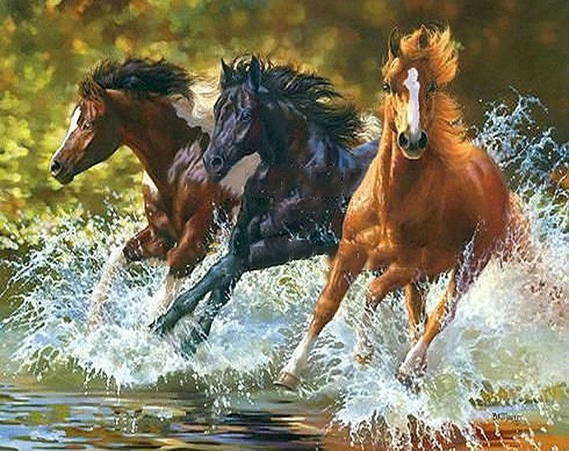 Trois Cools Chevaux Courant Peinture par Numéros