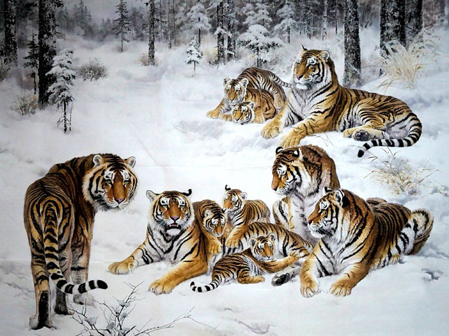 Troupeau de Tigres Peinture par Numéros