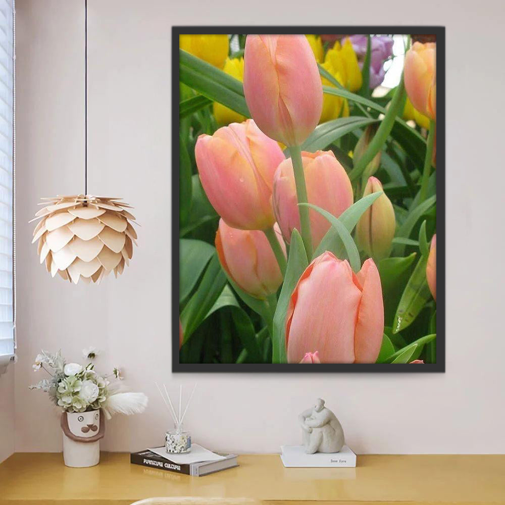 Tulipes Mignonnes Peinture par Numéros