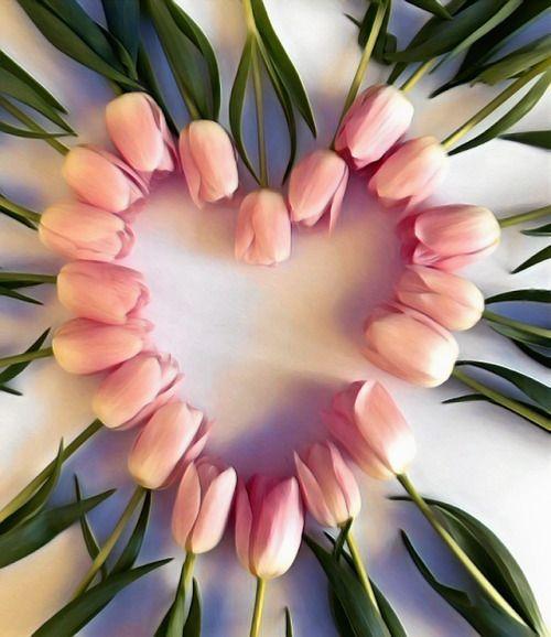 Tulipes Roses et Coeur Peinture par Numéros