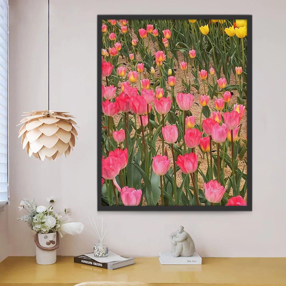 Tulipes Roses et Jaunes Fleur Peinture par Numéros