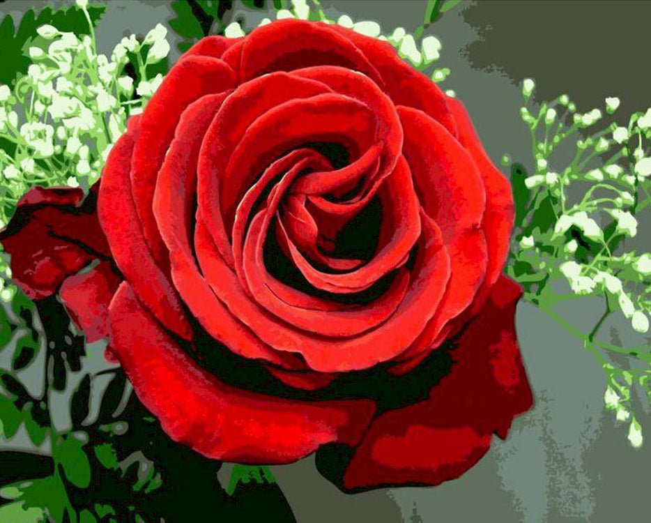 Une Rose Rouge Peinture par Numéros