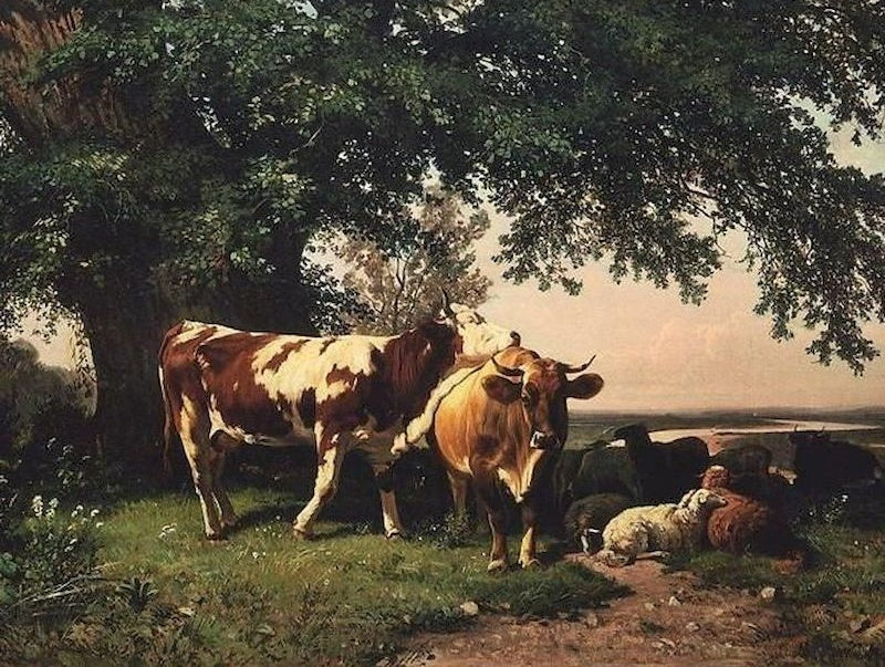 Vaches et Grand Arbre Peinture par Numéros