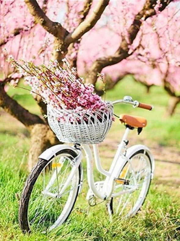 Vélo Blanc et Fleurs Roses Peinture par Numéros