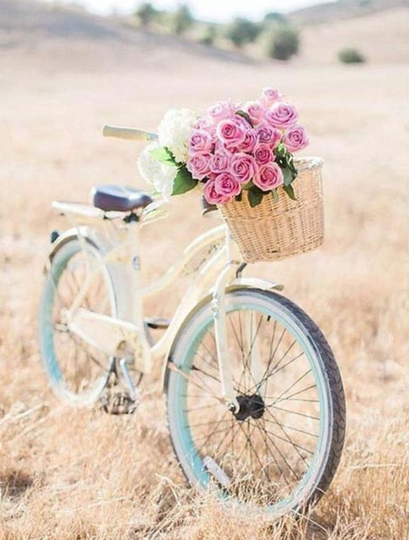 Vélo et Roses Peinture par Numéros PBNNATL283