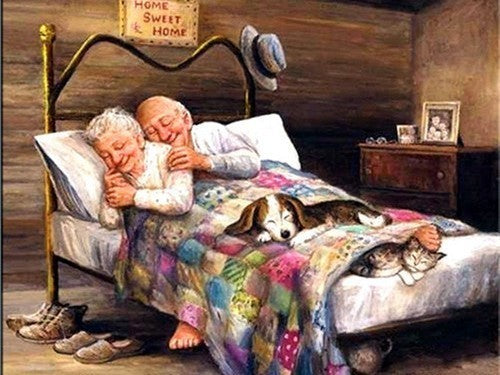 Vieux Couple Peinture par Numéros