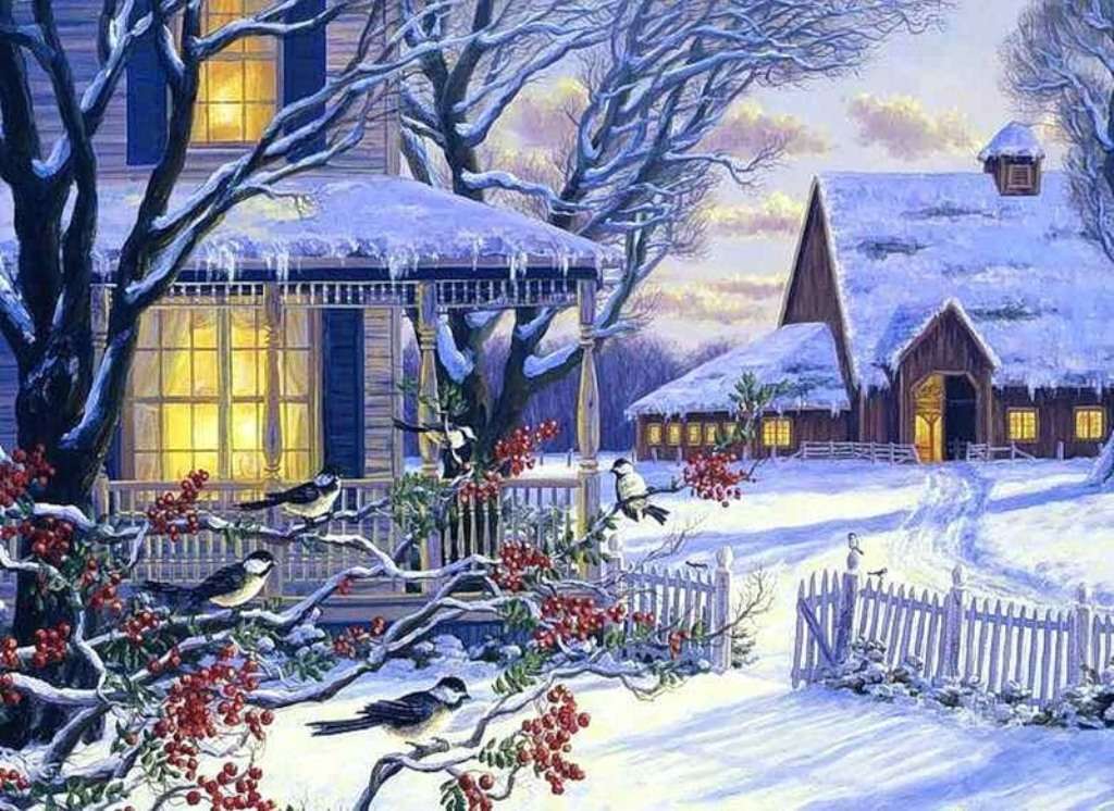 Village et Oiseaux la Nuit Enneigée Peinture par Numéros