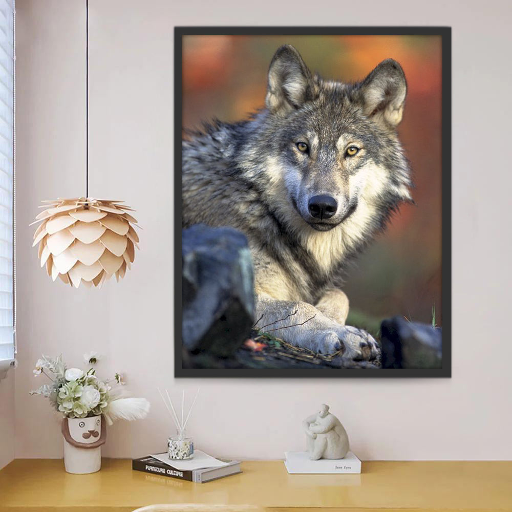 Visage de Loup Peinture par Numéros