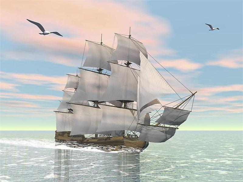 Voilier et Mouettes Peinture par Numéros