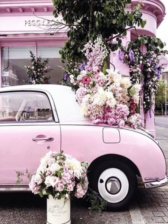 Voiture Rose Peinture par Numéros
