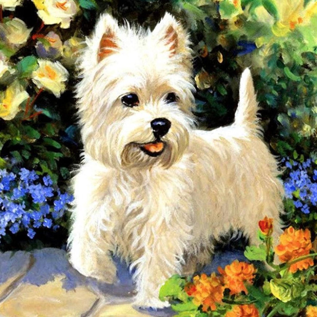 Westie et les Fleurs Peinture par Numéros