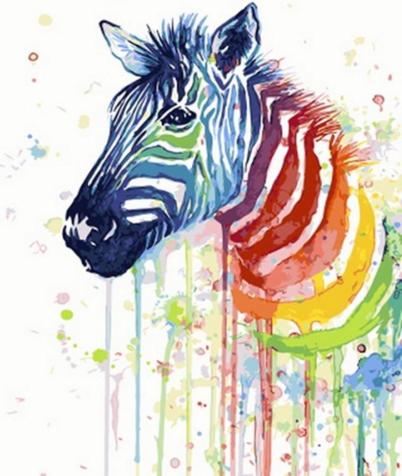 Zèbre Coloré Peinture par Numéros